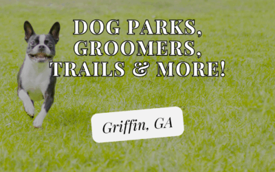 Dog-Friendly Griffin, GA: Parks, Trails, Groomers & More